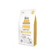 Brit Care Mini Hair Skin Somonlu ve Ringa Balıklı Tahılsız Köpek Maması 2kg resmi
