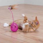Trixie Kedi Oyuncağı Otomatik Sesli Yumurta 7 Cm resmi