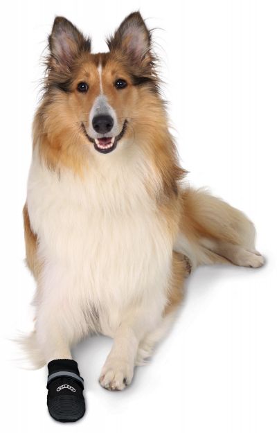 Trixie Köpek Patiği , Yumuşak 2 Ad. , L , Siyah resmi