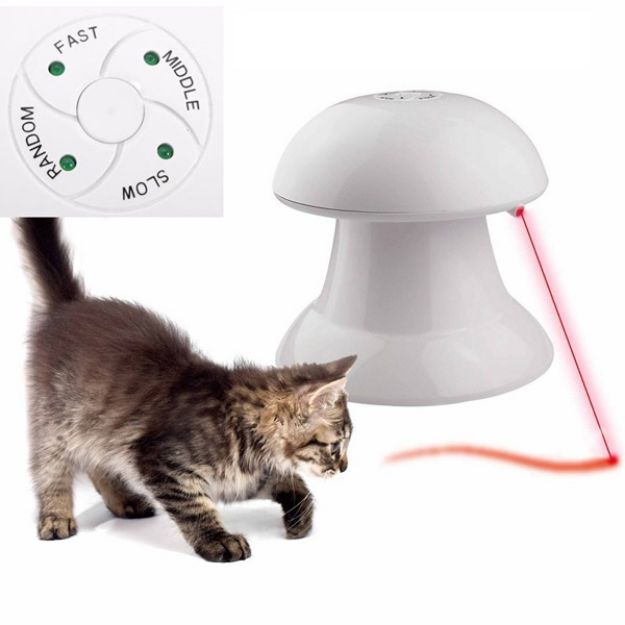 Lazer Işıklı Kedi Oyuncağı resmi