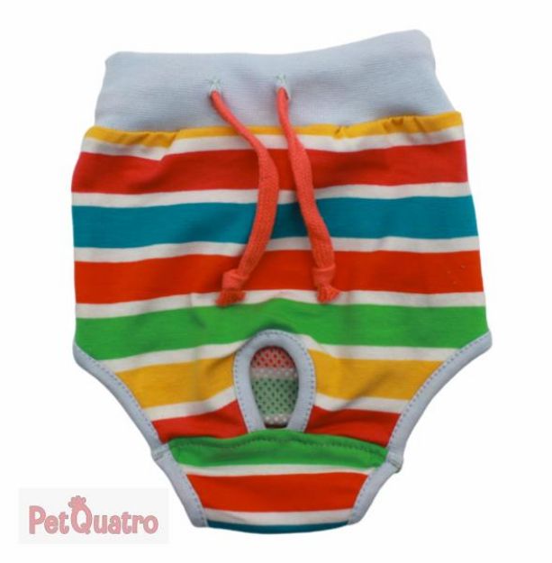 Picture of Pawstar Striped Underwear No 0 23062-0