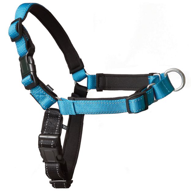 Picture of PetSafe Deluxe Easy Walk Harness Mavi Köpek Göğüs Tasması Large 66-91 cm