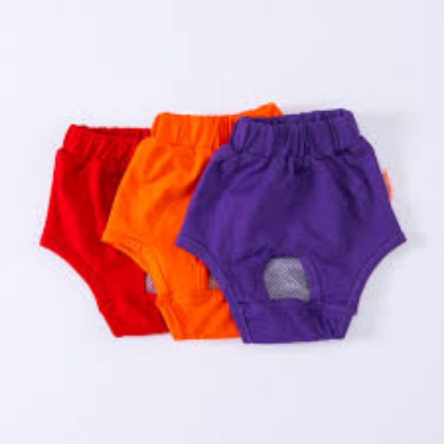 Picture of Pawstar Solid Colors 1 Underwear No 2 23064-2