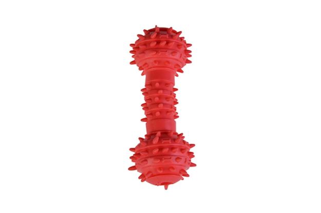 Picture of Zampa Köpekler İçin Dikenli Dumbell Oyuncak, 14cm