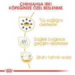 Picture of Royal Canin Chihuahua Köpek Konservesi 85 gr