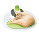 Picture of Hagen Catit Senses Wellness Center Kedi Bakım Eğlence Alanı