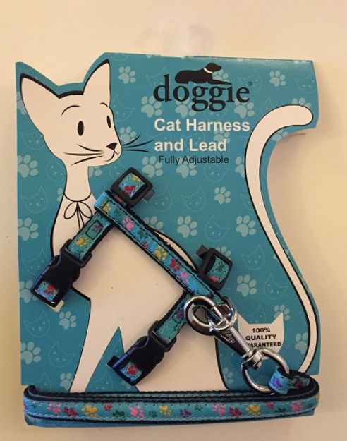 Picture of Doggie Etiketli Dokuma Kedi Göğüs Gezdirme Takımı No:2 Siyah