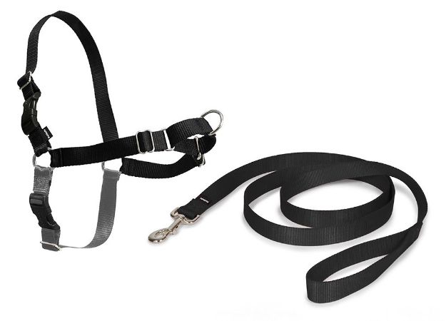 Picture of PetSafe Easy Walk Harness Siyah Köpek Göğüs Tasması XLarge 86-117 cm