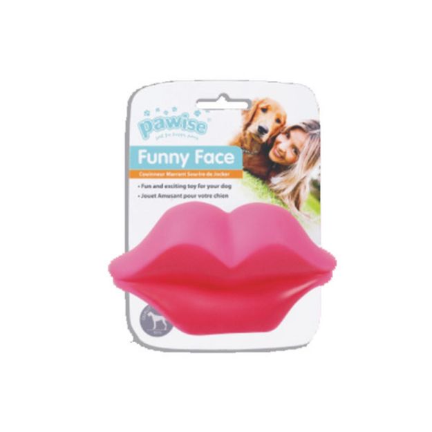 Picture of Pawise Vinyl Toy-Lip Köpek Oyuncağı