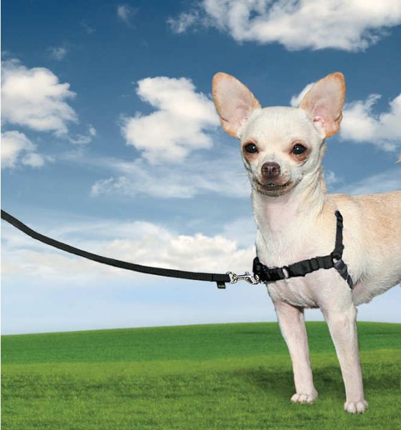 Picture of PetSafe Easy Walk Harness Siyah Köpek Göğüs Tasması XSmall 30-40 cm