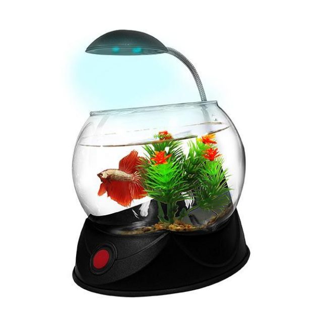 Hailea V-02S Fanus 1,8 Lt Siyah Led Aydınlatmalı Çakıl ve Süs Hediyeli resmi