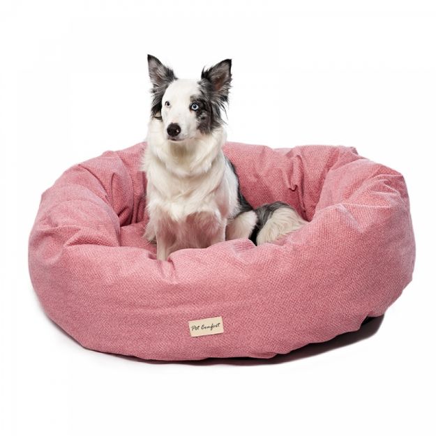 Pet Comfort Hotel Nidus 08 Köpek Yatağı L 100 Cm resmi