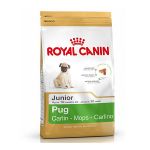 Picture of Royal Canin Pug Junior Yavru Köpek Maması 1.5 Kg