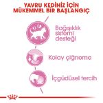 Picture of Royal Canin Kitten Instinctive in Jelly Yavru Kedi Jel Konservesi 85Gr