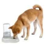 Picture of Ferplast Azimut 1500 Kedi Köpek Hazneli Su & Mama Kabı 1,5 lt