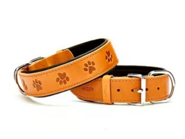 Picture of Doggıe Pati Süslü Köpek Boyun Tasması Sbt4036scamel