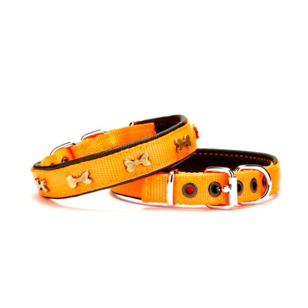 Picture of Doggie Kemik Metal Süslü Softlu Köpek Boyun Tasması Turuncu DSBT-3062 M