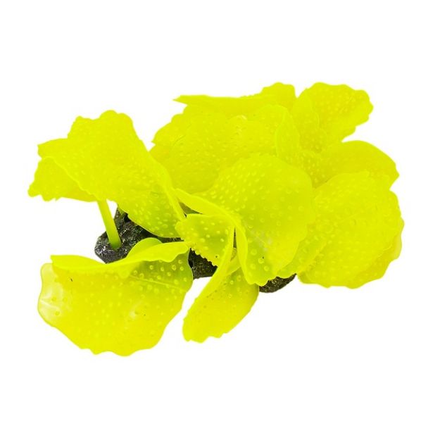 Akvaryum Dekoru  Silikon Fil Kulağı Mercan 12,5 cm x 10,5 cm x 8 cm resmi