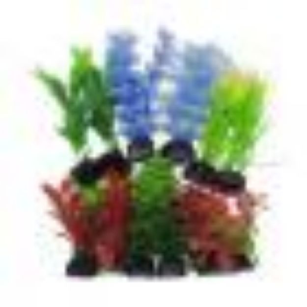 Picture of Anka Plasttık Bıktı Tm Small Weeds 8 Cm 12Lı Pb142