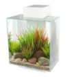 Picture of Hagen Fluval Edge 2.0 Led Aydınlatmalı Filtreli Akvaryum 46 lt Beyaz