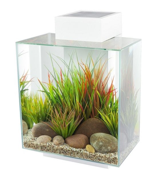 Picture of Hagen Fluval Edge 2.0 Led Aydınlatmalı Filtreli Akvaryum 46 lt Beyaz