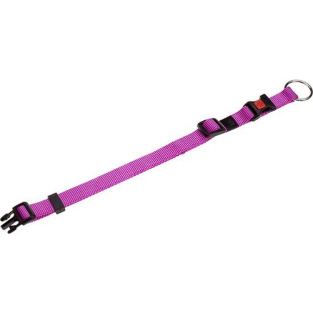 Picture of Flamingo Köpek Boyun Tasması Pembe 45-60 CM