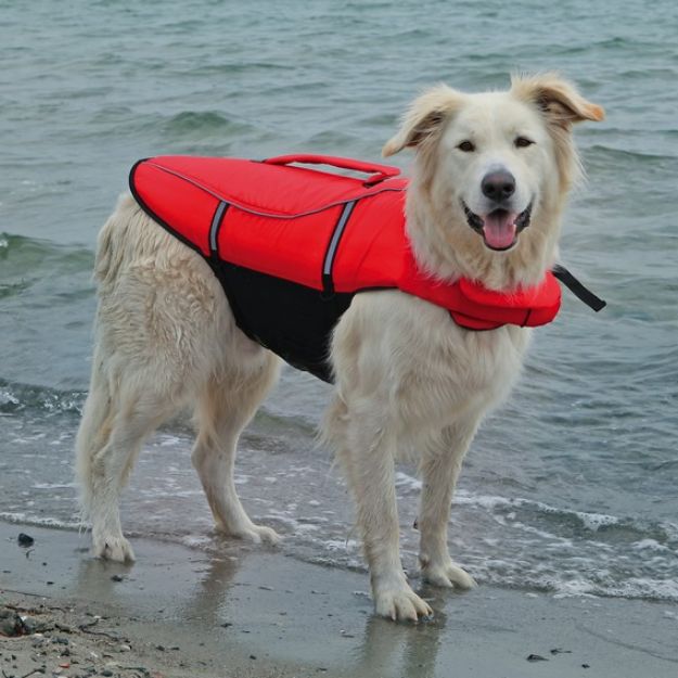 Picture of Trixie Köpek Can Yeleği 44 cm Medium