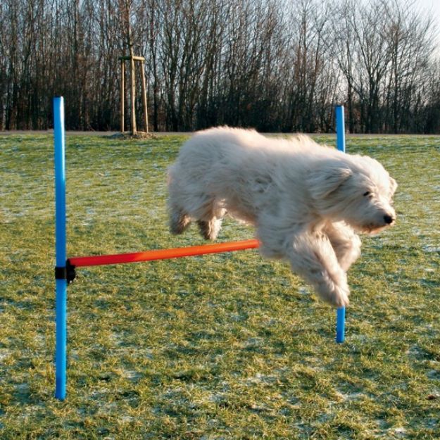 Picture of Trixie Köpek Agility Eğitim Engeli  129 cm x 115 cm x 3 cm