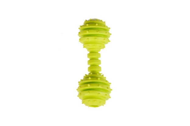 Picture of Zampa Köpekler İçin Zilli Kademeli Dumbell Oyuncak, 12cm
