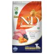 N&D Pumkın Kuzu Y.Mersın Puppy Mını 2,5 Kg resmi