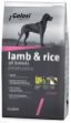 Golosi Lamb & Rice Kuzu Etli Köpek Maması 12 Kg resmi