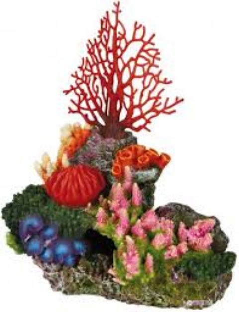 Picture of Trixie Akvaryum Hava Çıkışlı Mercan Kayası 29cm8708