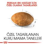 Picture of Royal Canin Persian Kedi Maması 4Kg