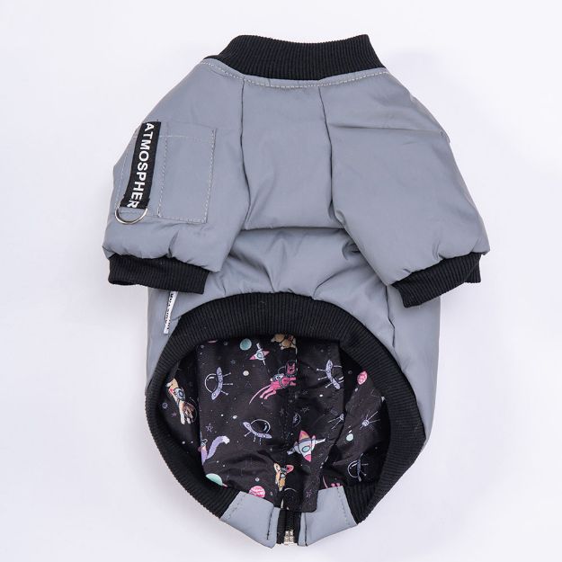 Picture of Pawstar Astrodog Raincoat 