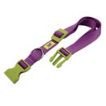 Picture of Ferplast Club C20/56 Köpek Boyun Tasması