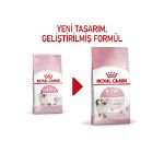 Picture of Royal Canin Kitten Yavru Kedi Maması 400Gr
