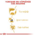 Picture of Royal Canin Yorkshire Köpek Konservesi 85 gr