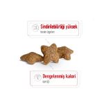 Picture of Royal Canin Mini Adult Yetişkin Köpek Maması 2Kg