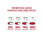 Picture of Royal Canin Kitten British Shorthair Yavru Kedi Maması 2Kg