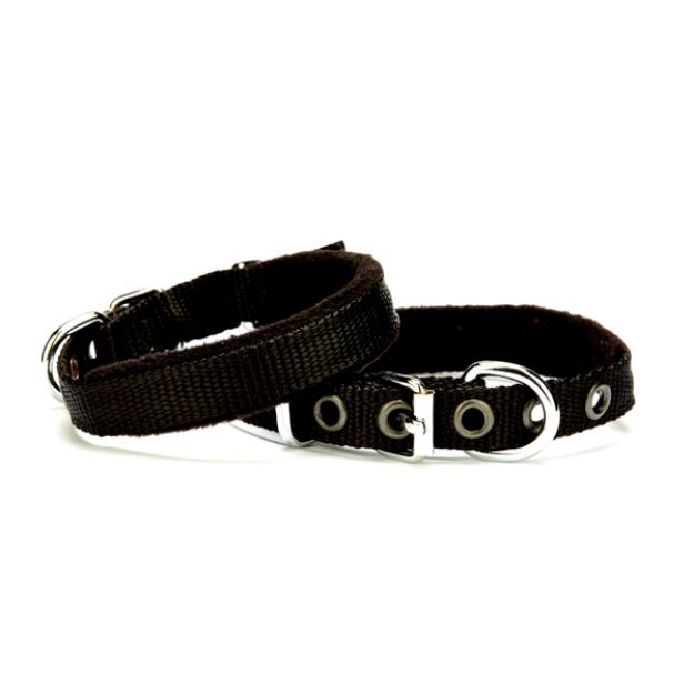 Doggie Polar Softlu Dokuma Köpek Boyun Tasması Siyah PDBT-1510 S resmi