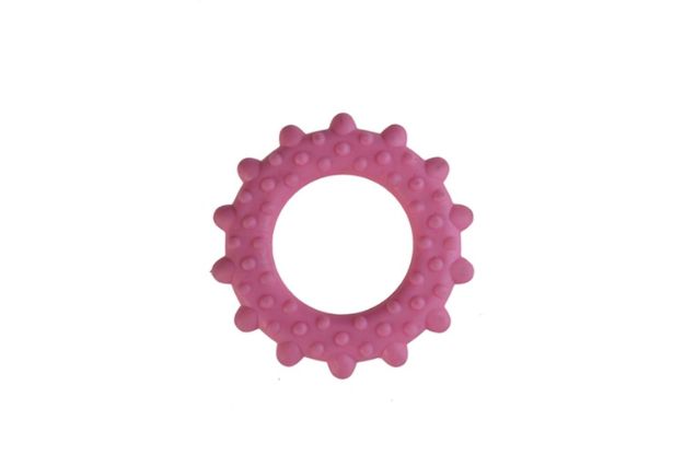 Zampa Köpekler İçin Çember Oyuncak, 8.5cm resmi