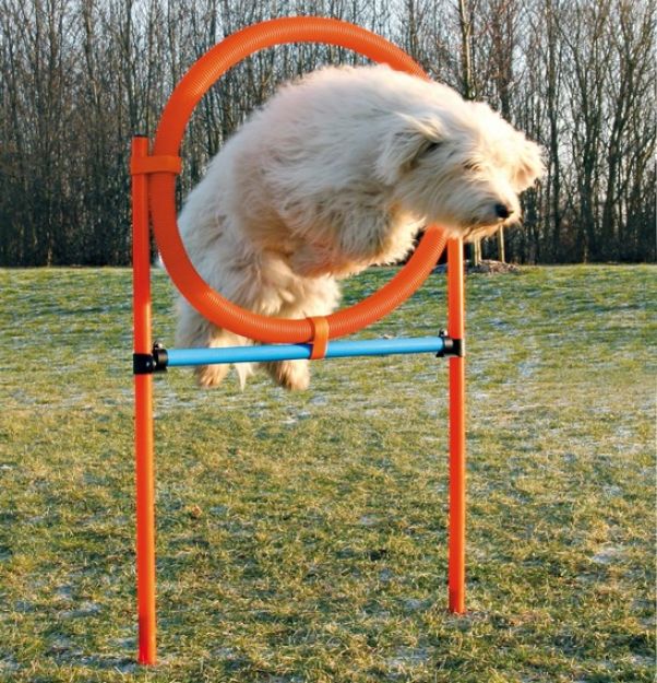 Picture of Trixie Köpek Agility Eğitim Çemberi 115 cm x 3 cm x 65 cm