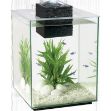 Picture of Hagen Fluval Chi Akvaryum Kiti 25 Lt Uzaktan Kumandalı