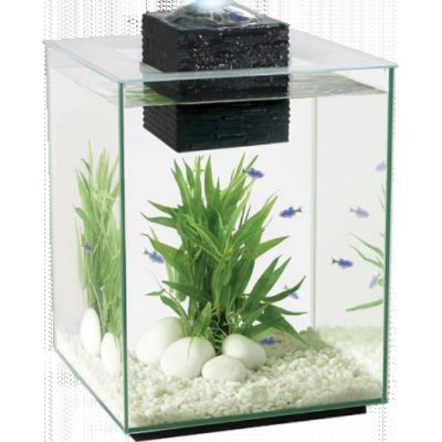 Picture of Hagen Fluval Chi Akvaryum Kiti 25 Lt Uzaktan Kumandalı
