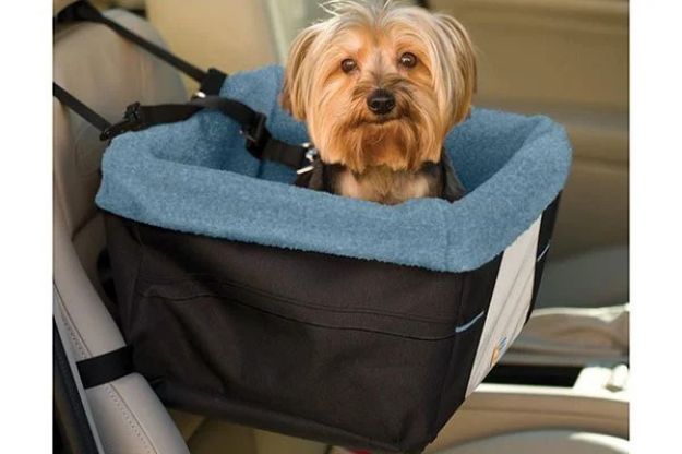 Picture of Kurgo Rover Köpek Oto Koltuğu Syh/Mavi K01144
