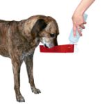 Picture of Trixie Köpek Seyahat Su Şişesi 500 ml
