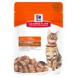 Hill's Gravy Hindili 85gr Yaş Kedi Maması resmi
