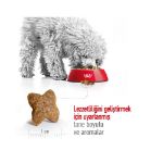 Picture of Royal Canin Mini Adult Yetişkin Köpek Maması 2Kg