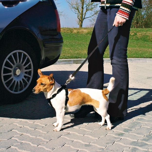 Picture of Trixie Köpek Emniyet Kemeri L 70-90Cm