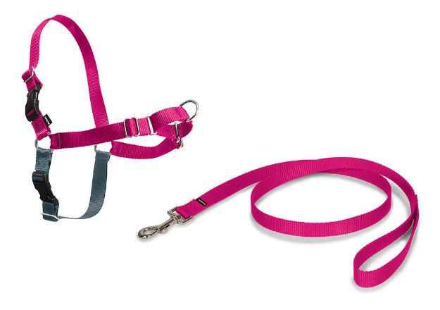 PetSafe Easy Walk Harness Pembe Köpek Göğüs Tasması XLarge 86-117 cm resmi